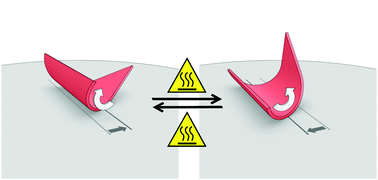 Graphical abstract: A self-sustained soft actuator able to rock and roll
