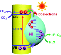 Graphical abstract: Schottky junction effect enhanced plasmonic photocatalysis by TaON@Ni NP heterostructures