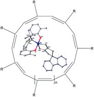 Graphical abstract: A catalytically relevant intermediate in the synthesis of cyclic polymers from alkynes