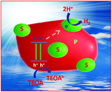 Graphical abstract: An elemental S/P photocatalyst for hydrogen evolution from water under visible to near-infrared light irradiation