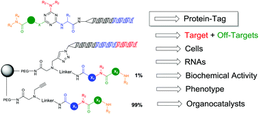 Graphical abstract: Beyond protein binding: recent advances in screening DNA-encoded libraries