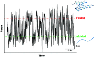 Graphical abstract: Direct monitoring of equilibrium protein folding–unfolding by atomic force microscopy: pushing the limit