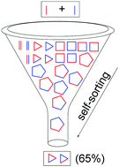 Graphical abstract: Self-sorting in dynamic disulfide assembly: new biphenyl-bridged “nanohoops” and unsymmetrical cyclophanes