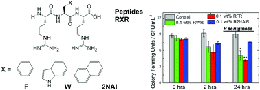 Graphical abstract: Model self-assembling arginine-based tripeptides show selective activity against Pseudomonas bacteria