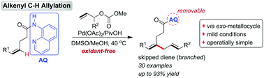Graphical abstract: Bidentate auxiliary-directed alkenyl C–H allylation via exo-palladacycles: synthesis of branched 1,4-dienes