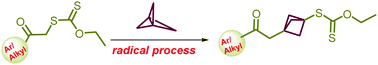 Graphical abstract: A radical exchange process: synthesis of bicyclo[1.1.1]pentane derivatives of xanthates