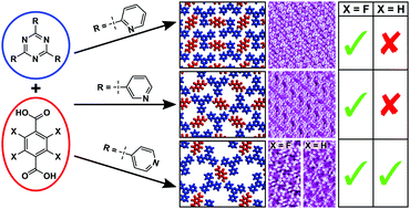 Graphical abstract: Fluorinated carboxylic acids as powerful building blocks for the formation of bimolecular monolayers