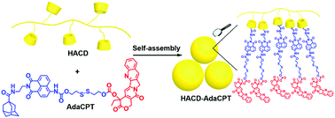 Graphical abstract: Enzyme-responsive fluorescent camptothecin prodrug/polysaccharide supramolecular assembly for targeted cellular imaging and in situ controlled drug release