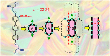 Graphical abstract: A self-assembled liquid crystal honeycomb of highly stretched (3-1-1)-hexagons