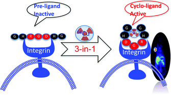Graphical abstract: An atom-economical design of PET tracer for imaging αvβ3 integrin via utilizing the three-in-one function of 64Copper