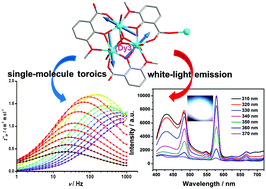 Graphical abstract: Unprecedented one-dimensional chain and two-dimensional network dysprosium(iii) single-molecule toroics with white-light emission