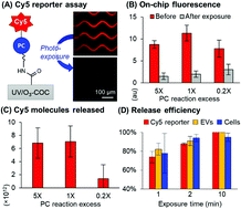 Graphical abstract: Visible photorelease of liquid biopsy markers following microfluidic affinity-enrichment