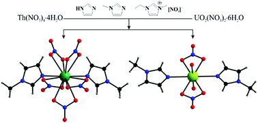 Graphical abstract: Benchtop access to anhydrous actinide N-donor coordination complexes using ionic liquids
