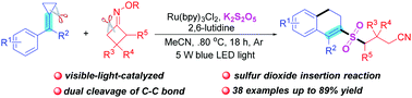 Graphical abstract: Visible-light photoredox-catalyzed dual C–C bond cleavage: synthesis of 2-cyanoalkylsulfonylated 3,4-dihydronaphthalenes through the insertion of sulfur dioxide