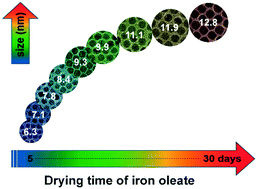 Graphical abstract: Sub-nanometer scale size-control of iron oxide nanoparticles with drying time of iron oleate