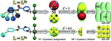 Graphical abstract: Conformational variation of ligands in mercury halide complexes; high and low Z′ structures