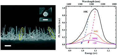 Graphical abstract: Structural and spectroscopy characterization of coaxial GaAs/GaAsSb/GaAs single quantum well nanowires fabricated by molecular beam epitaxy