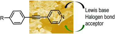 Graphical abstract: Supramolecular synthesis with N-hetero-tolanes: liquid crystals and hydrogen-bonded and halogen-bonded co-crystals