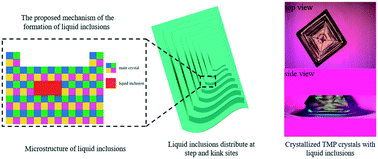 Graphical abstract: Effect of crystal growth kinetics on the formation of liquid inclusions in tetramethylpyrazine crystals