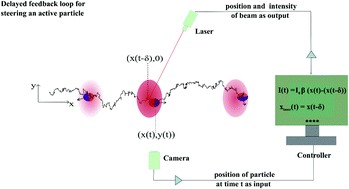 Graphical abstract: Delayed feedback control of active particles: a controlled journey towards the destination