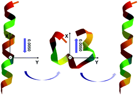 Graphical abstract: Electric field influence on the helical structure of peptides: insights from DFT/PCM computations