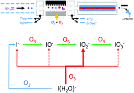 Graphical abstract: The reaction of hydrated iodide I(H2O)− with ozone: a new route to IO2− products