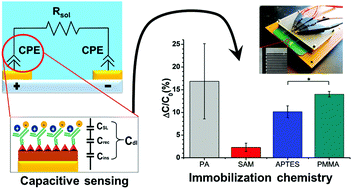 Graphical abstract: Interfacial capacitance immunosensing using interdigitated electrodes: the effect of insulation/immobilization chemistry