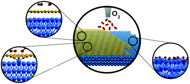 Graphical abstract: Avoiding oxidation with coating: graphene protected magnesium surfaces