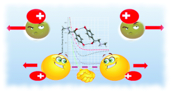 Graphical abstract: Cation⋯cation hydrogen bonds in synephrine salts: a typical interaction in an unusual environment