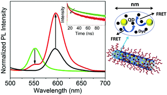 Graphical abstract: Fluorescence resonance energy transfer in multifunctional nanofibers designed via block copolymer self-assembly