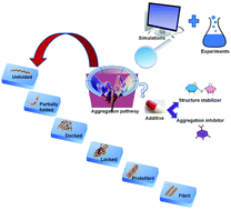 Graphical abstract: A computational approach to get insights into multiple faces of additives in modulation of protein aggregation pathways