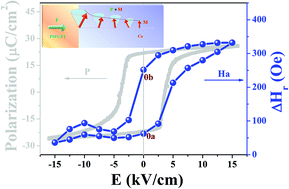Graphical abstract: Magnon-driven interfacial magnetoelectric coupling in Co/PMN-PT multiferroic heterostructures
