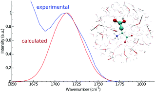 Graphical abstract: Modeling amino-acid side chain infrared spectra: the case of carboxylic residues