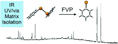 Graphical abstract: Spectroscopic identification of the phenyltelluryl radical and its reactivity toward molecular oxygen
