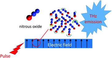 Graphical abstract: Librating dipoles as a probe of spontaneously electrical films and as a source of THz radiation