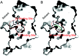 Graphical abstract: The binding mode of vilazodone in the human serotonin transporter elucidated by ligand docking and molecular dynamics simulations