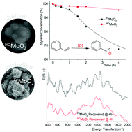 Graphical abstract: Probing the relevance of MoO2 nanoparticles’ synthesis on their catalytic activity by inelastic neutron scattering