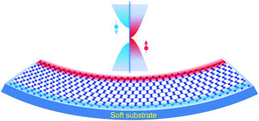 Graphical abstract: Unconventional deformation potential and half-metallicity in zigzag nanoribbons of 2D-Xenes