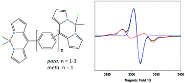 Graphical abstract: Influence of molecular design on radical spin multiplicity: characterisation of BODIPY dyad and triad radical anions