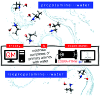 Graphical abstract: Theory meets experiment for elucidating the structure and stability of non-covalent complexes: water–amine interaction as a proof of concept