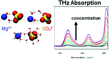 Graphical abstract: Cooperativity and ion pairing in magnesium sulfate aqueous solutions from the dilute regime to the solubility limit