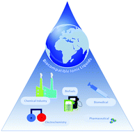 Graphical abstract: Biocompatible ionic liquids: fundamental behaviours and applications