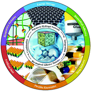 Graphical abstract: Catechol-functionalized hydrogels: biomimetic design, adhesion mechanism, and biomedical applications