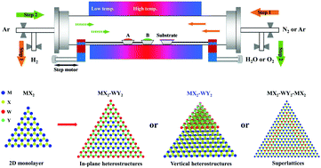 Graphical abstract: Synergistic additive-mediated CVD growth and chemical modification of 2D materials