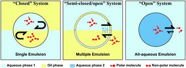 Graphical abstract: Thermodynamic perspectives on liquid–liquid droplet reactors for biochemical applications
