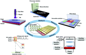 Graphical abstract: Understanding of perovskite crystal growth and film formation in scalable deposition processes