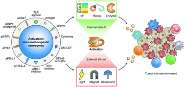 Graphical abstract: Molecular and nanoengineering approaches towards activatable cancer immunotherapy