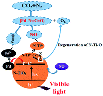 Graphical abstract: The promoting effect of visible light on the CO + NO reaction over the Pd/N–TiO2 catalyst