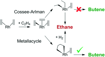 Graphical abstract: C–C coupling at a zeolite-supported Rh(i) complex. DFT search for the mechanism