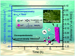 Graphical abstract: Terephthalic acid induced binder-free NiCoP–carbon nanocomposite for highly efficient electrocatalysis of hydrogen evolution reaction